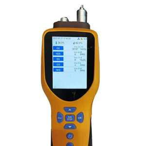 Agro Enviro Tests Manufacturer Single H2S Gas Detector