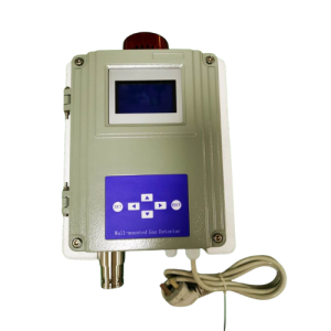 Single Gas Detector with LCD Display, Alarm & Data Storage - Agro Enviro Tests