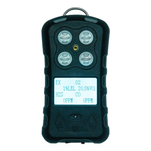 Portable Multi-Gas Detector with Real-Time LCD Display and Alarms - Agro Enviro Tests