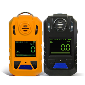 Portable Single Gas Detector with LCD Display and Alarm Function - Agro Enviro Tests
