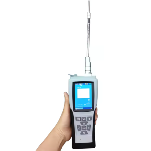 Portable CO Electrochemical Gas Detector with H2 Compensation - Agro Enviro Tests