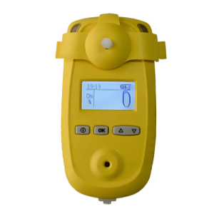 Agro Enviro Tests CH4 Gas Detector
