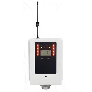 Wireless Explosion-Proof CO Gas Detector - Agro Enviro Tests