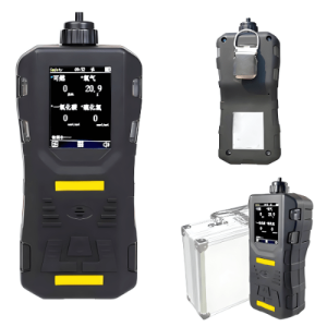 Agro Enviro Tests Custom Multi Combustible Gas Detector- Protection Class IP65