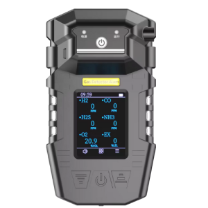 Agro Enviro Tests Portable Multi Gas Detector - IP65 Ingress Protection