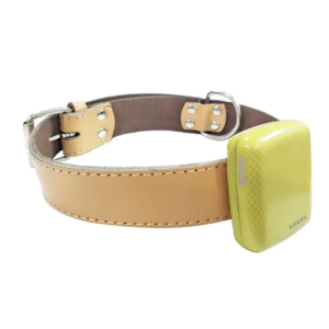 Mini Waterproof GPS Tracker for Pets with Geofence -  Agro Enviro Tests