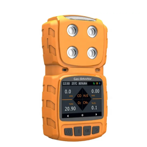 Agro Enviro Tests Portable Multi Gas Detector