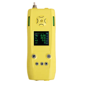 Agro Enviro Tests Multi Gas Detector