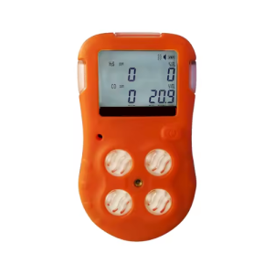 Portable 4 - in - 1 Multi Gas Detector – Combustible and Toxic Gas Sensor - Agro Enviro Tests 