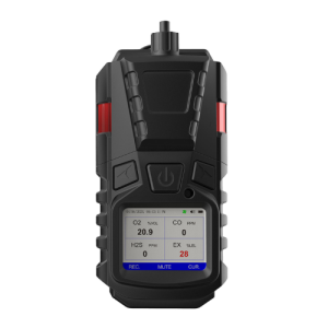 Portable Multi Gas Detector for O2, CO, H2S, EX with Alarm Pumping System - Agro Enviro Tests 