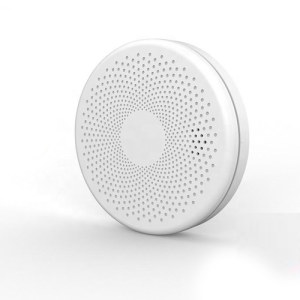 Ultra Slim Smart WiFi Smoke and Carbon Monoxide Alarm - Agro Enviro Tests