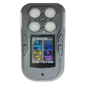 Agro Enviro Tests Portable Alarm Gas Detector