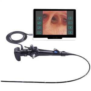 Agro Enviro Tests Clinical Flexible Endoscopes