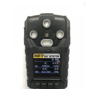 Agro Enviro Tests Portable Environment Gas Detector for Carbon Monoxide - Acousto Optic Alarm