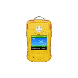 Hydrogen Sulfide Gas Detector (Storage, High Accuracy)